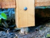 Cedar post set on galvanized pipe to prevent wood-soil contact