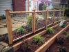 Galvanized steel mesh fence with cedar frame - Loyal Heights, Ecoyards.