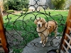 Gus inspects a custom iron gate installed by Ecoyards - Seattle.
