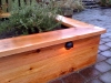 Raised cedar bed with landscape lighting - Crown Hill, Seattle, Ecoyards.