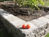 Raised vegetable bed built with RomanStack blocks.