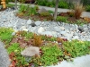 Dry creek bed landscape in parking strip - West Seattle, Ecoyards.