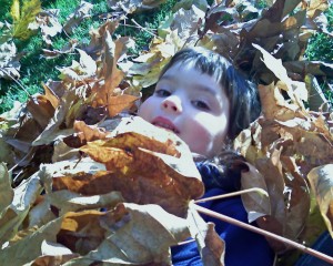 Sherridan in Leaves