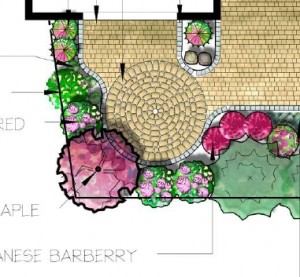 Landscape Design by Ecoyards, Seattle, WA