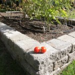 Raised vegetable bed