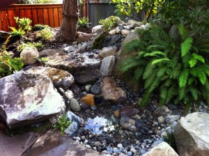 Pondless waterfall in West Seattle