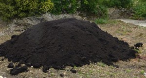 Compost pile. Photo by Bryn  Pinzgauer, Creative Commons License.