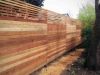 Horizontal fence with trellis - Wallingford, Ecoyards.com