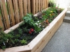 Raised cedar landscape bed with new plantings