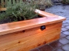 Raised cedar landscape bed with new plantings and built-in lighting