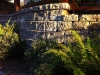 Roman Pisa retaining wall with landscape plantings - West Seattle, Ecoyards.